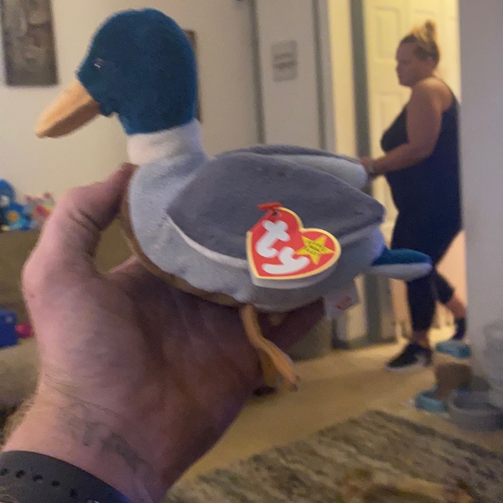 Jake beanie baby